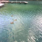 Casa A Schiera Fronte Con Giardino *