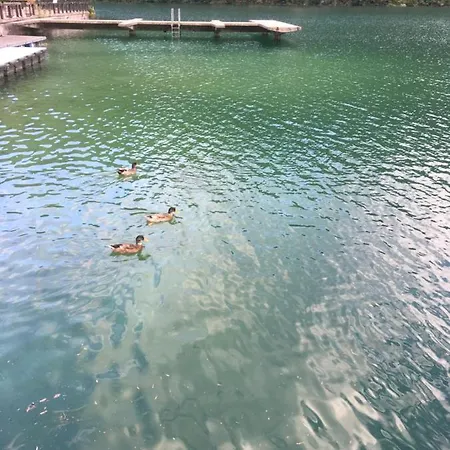 Casa A Schiera Fronte Con Giardino *